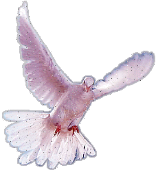 Pigeon clipart letter gif.  pigeons animated images