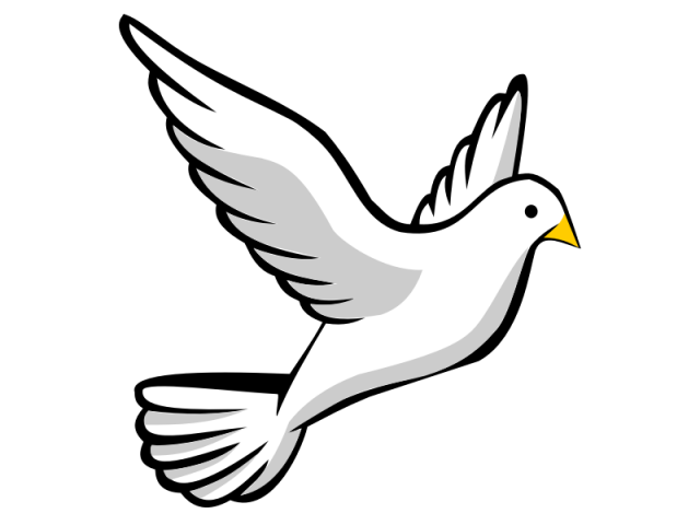 Pigeon clipart logo. Cliparts x carwad net