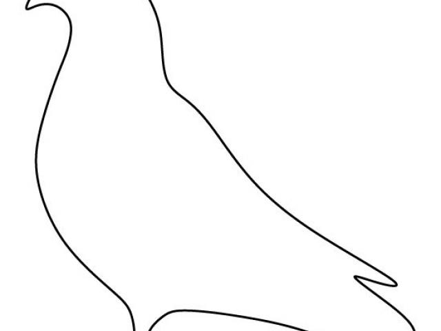 pigeon clipart outline