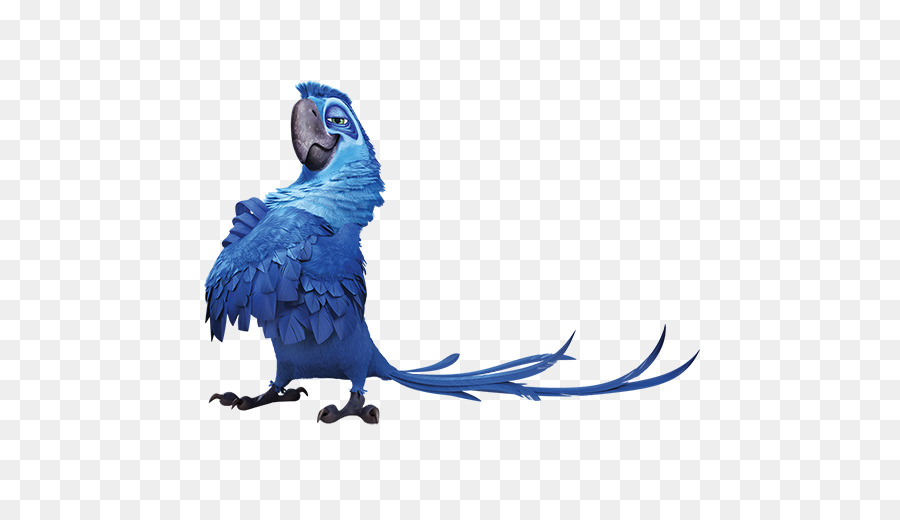 Pigeon clipart parrot. Rio bird blue transparent