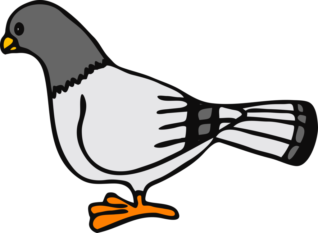Collection of free download. Pigeon clipart passenger pigeon