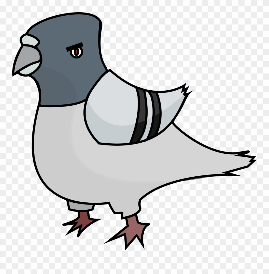 Pidgeons logo angry clip. Pigeon clipart pidgeon