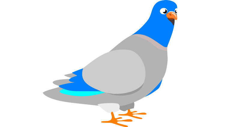 Pigeon clipart pidgeon. Https explained with carrier