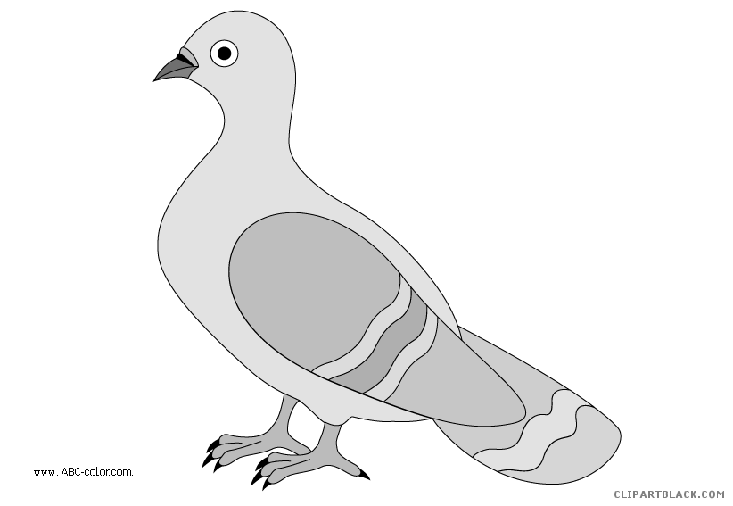 Page of clipartblack com. Pigeon clipart pigen