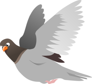 Pigeon clipart pigen. A flying clip art