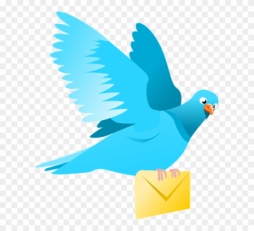 Help spread the word. Pigeon clipart pigeon post