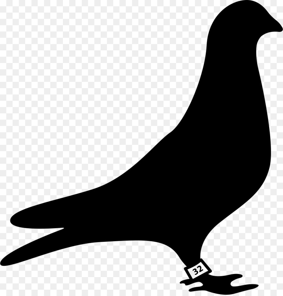 Font bird silhouette transparent. Pigeon clipart racing pigeon