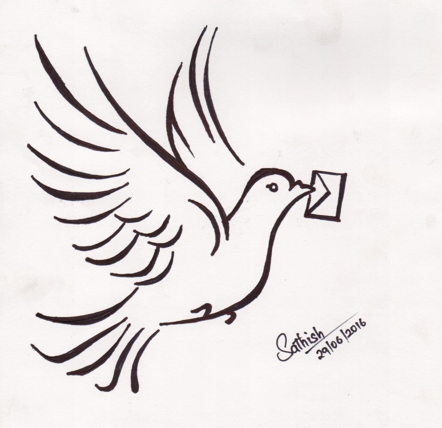 pigeon clipart sketch