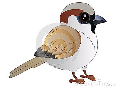 Pigeon clipart sparrow. Vector illustration clip art