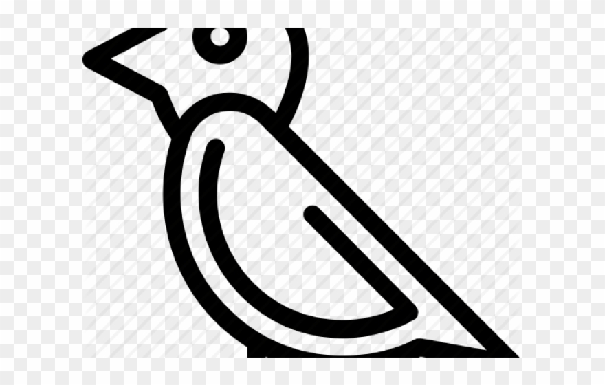 House png download . Pigeon clipart sparrow