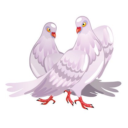 pigeon clipart two