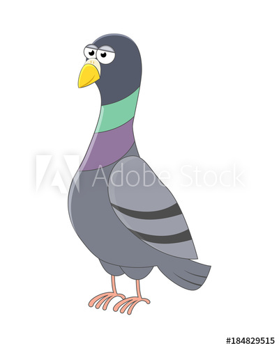 pigeon clipart vector