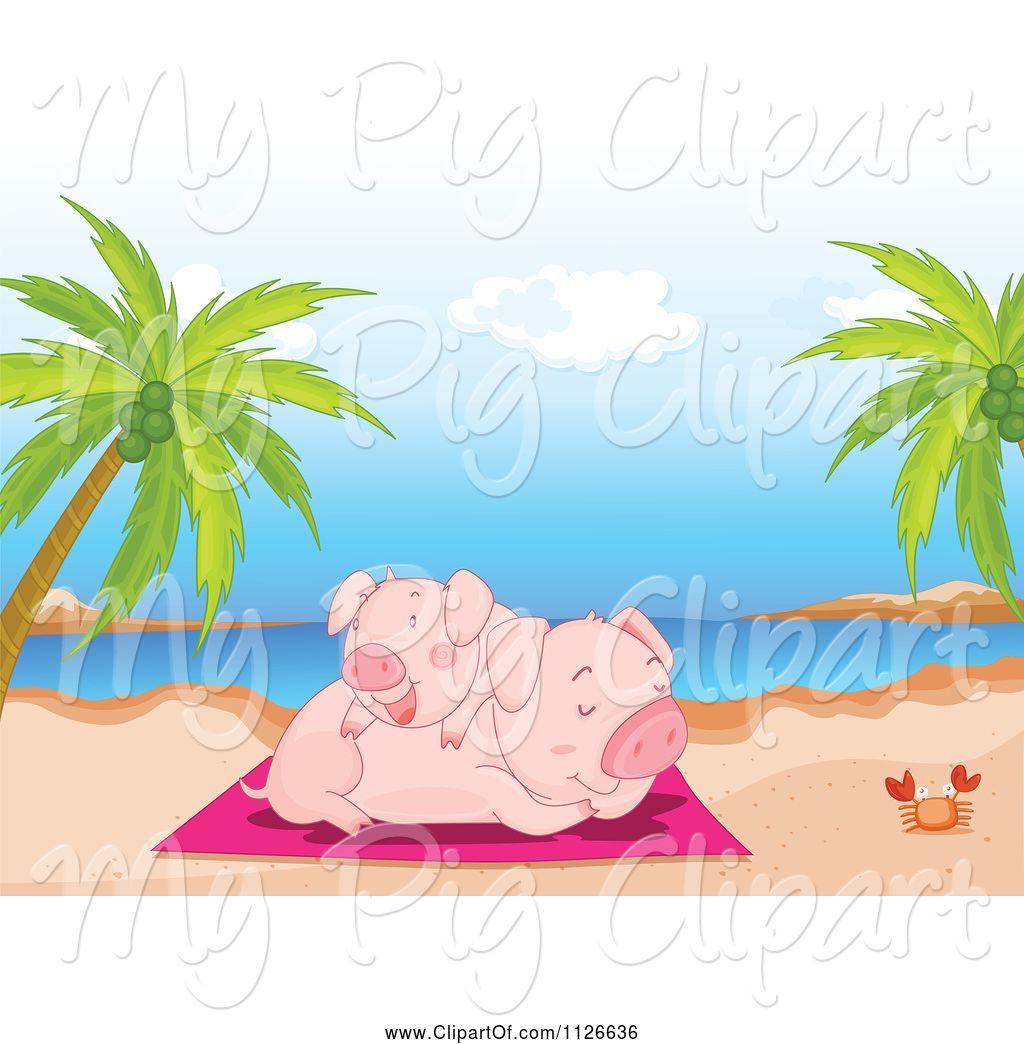 pigs clipart beach
