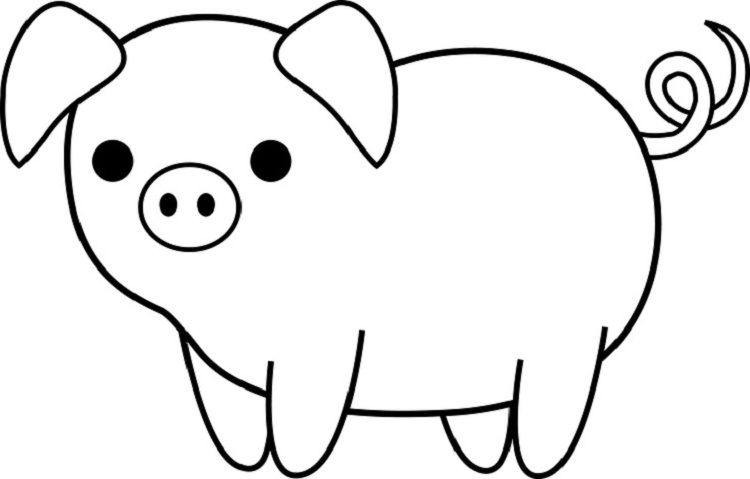 pigs clipart easy