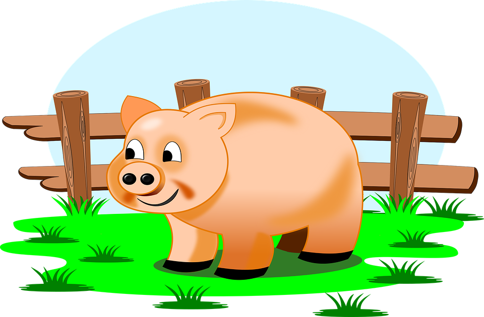 pigs clipart hog