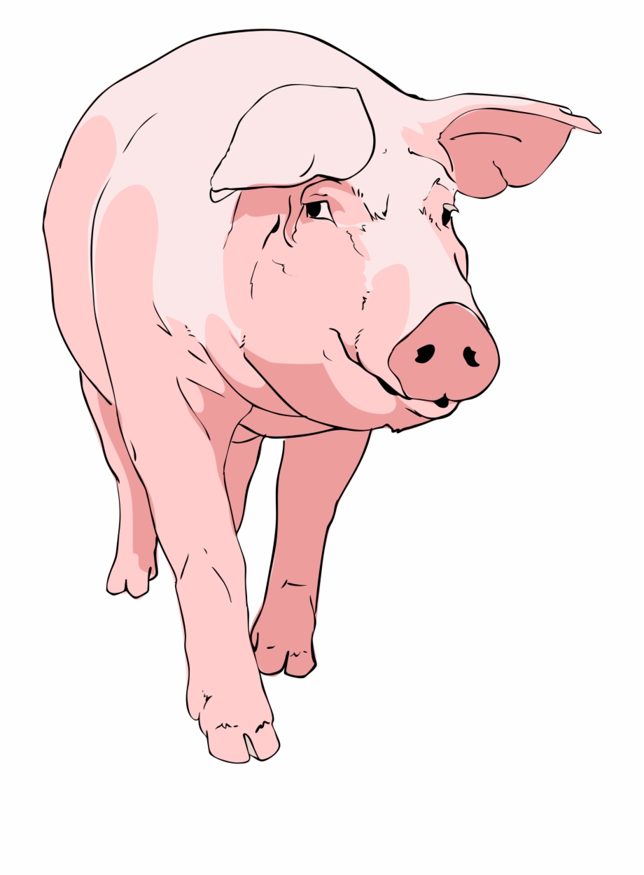 pigs clipart logo