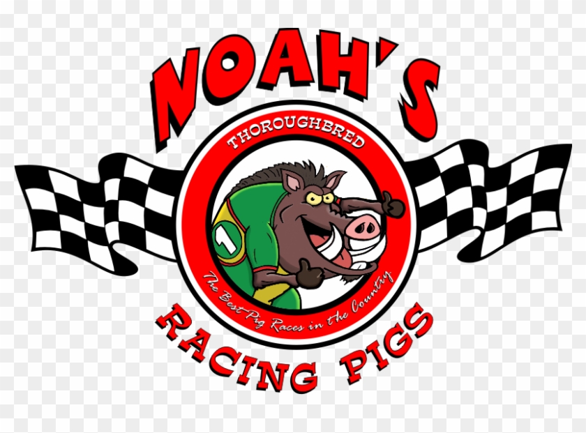 pigs clipart race