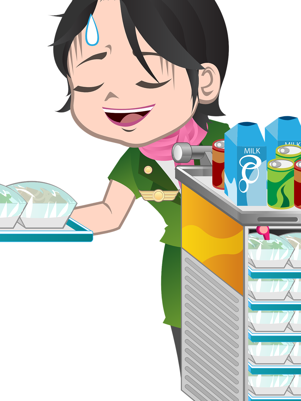 pilot clipart flight attendant