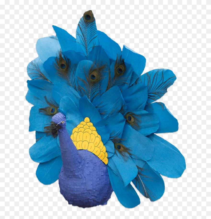 Custom peacock free pinatas. Pinata clipart break