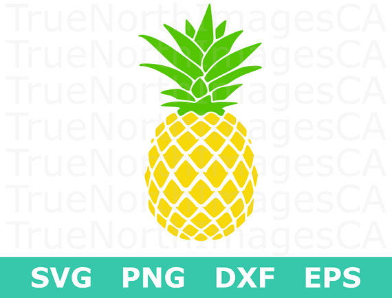 Pineapple clipart. Svg silhouette vector file