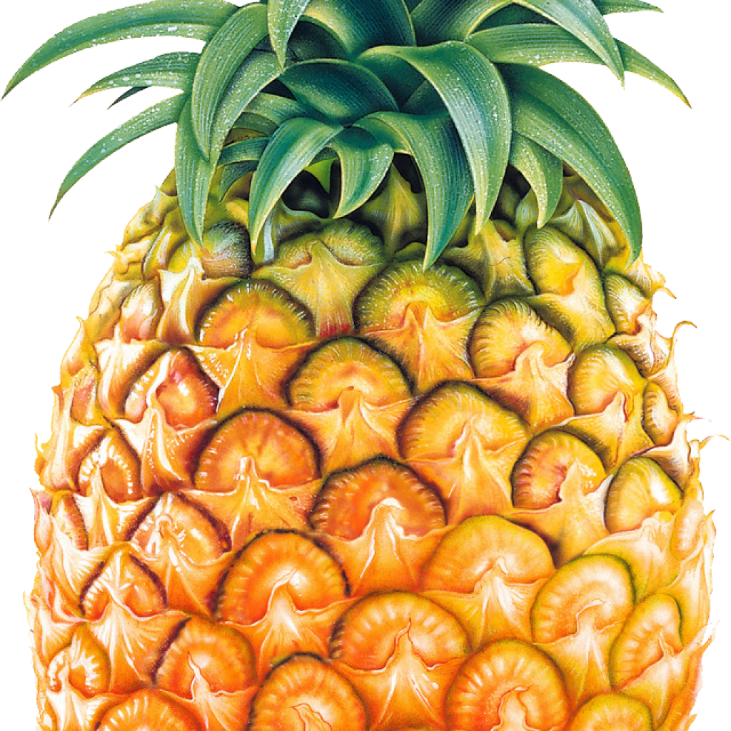 pineapple clipart animated