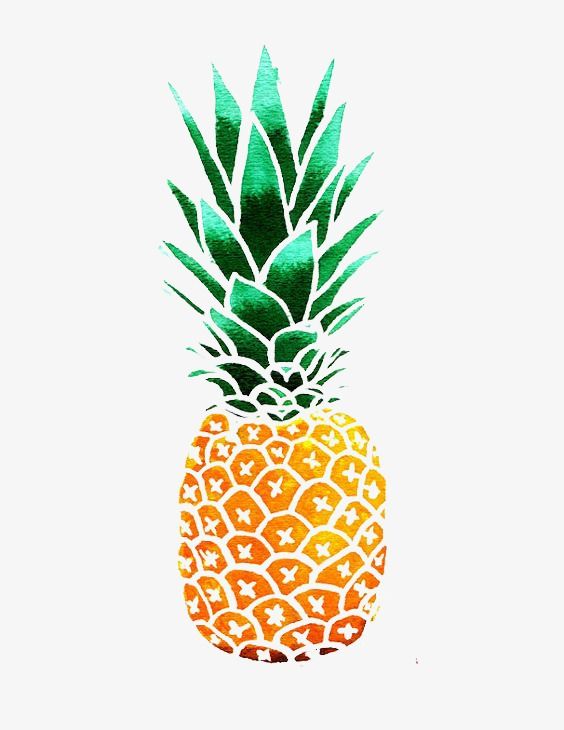 pineapple clipart artistic