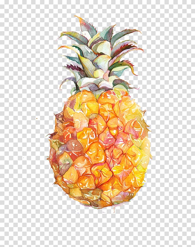 pineapple clipart basic