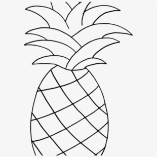 pineapple clipart classy