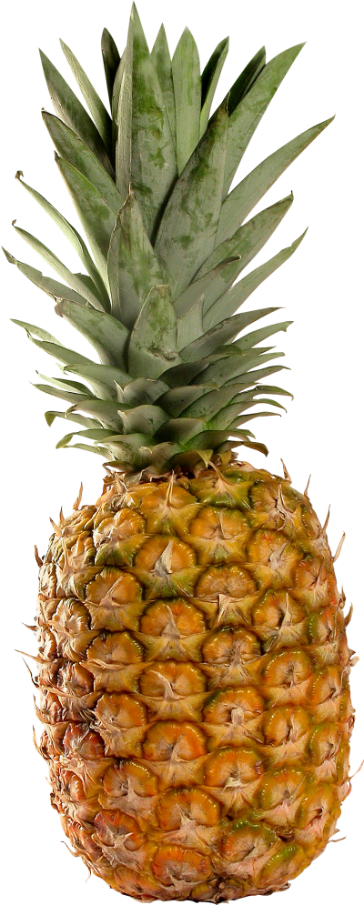 Pineapple printable