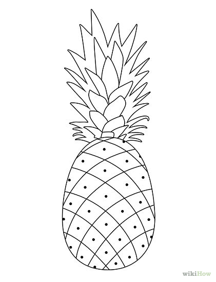 pineapple clipart sketch