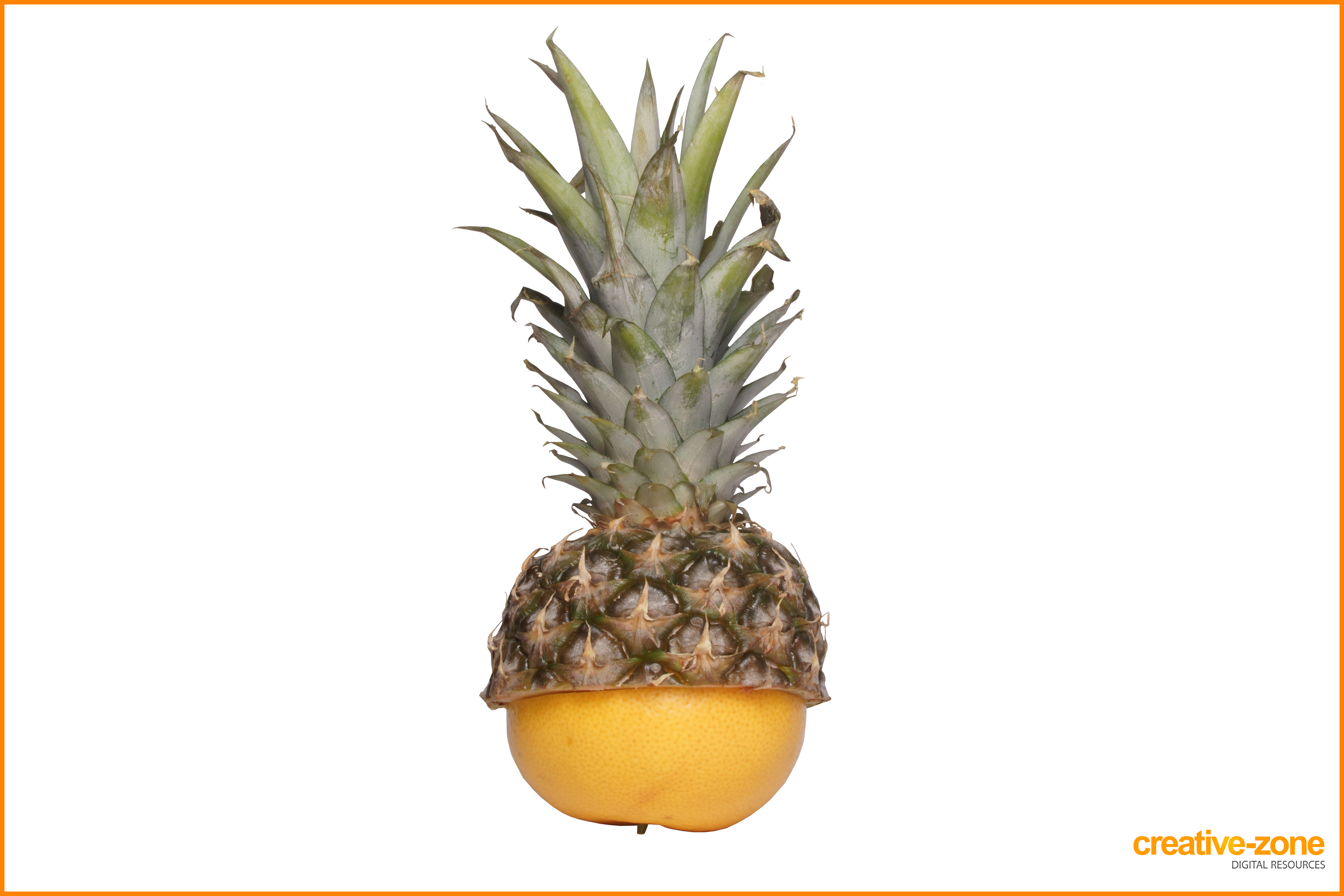 pineapple clipart tumbler