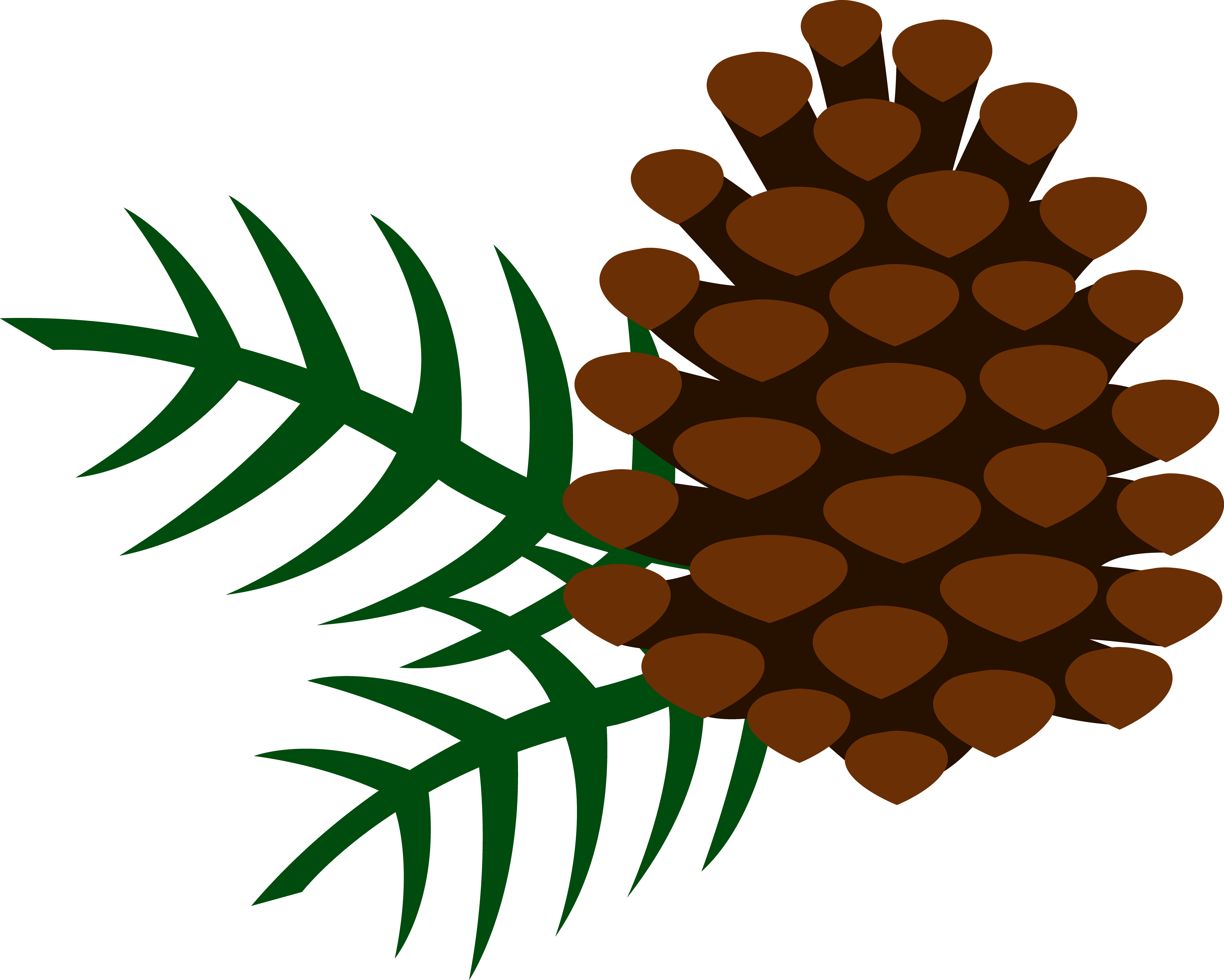 Winter clipart forest. Pine cones cone and