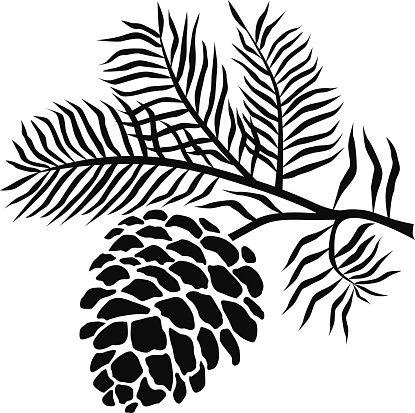 Pinecone clipart abstract. Art cone free pine