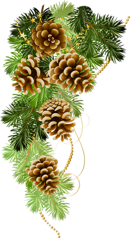 Pinecone clipart abstract. Pin by on pinterest