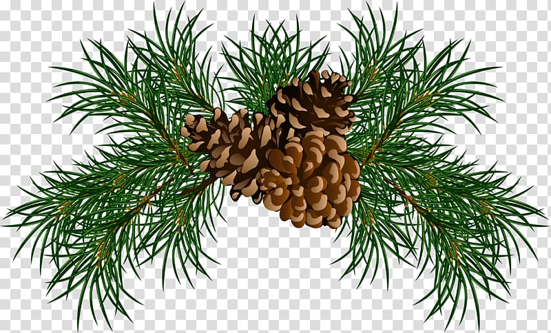 pinecone clipart animated