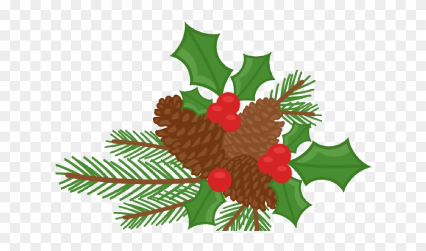Pinecone clipart berry. Berries holly with hd