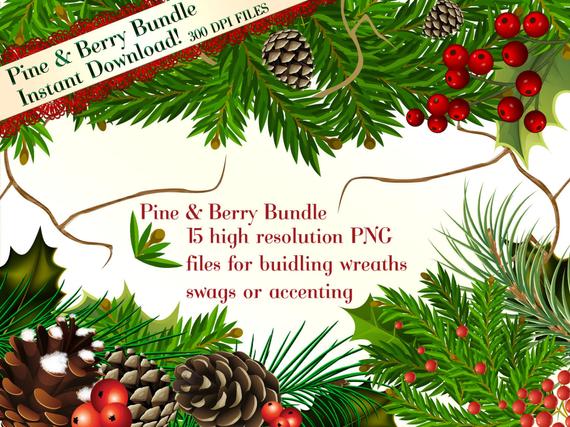 pinecone clipart berry