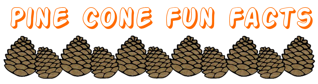 pinecone clipart border
