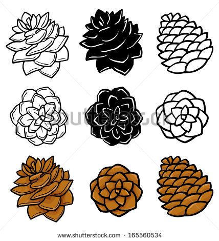 Pine cone line drawing. Pinecone clipart draw