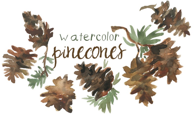 pinecone clipart greenery