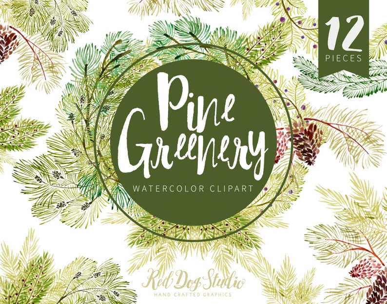 pinecone clipart holiday greenery