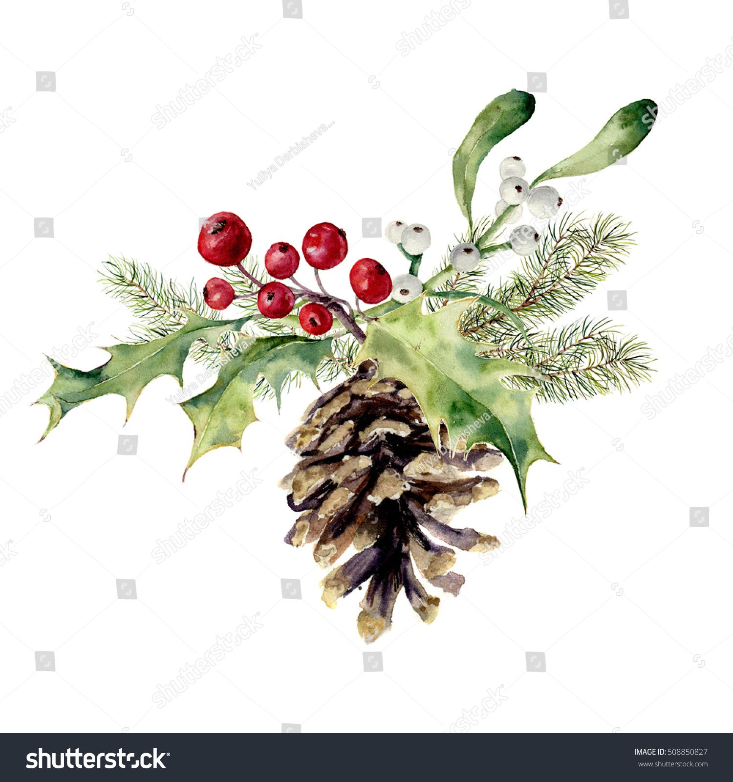 pinecone clipart holly