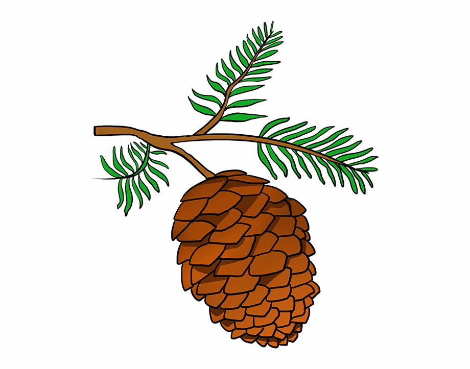 pinecone clipart simple