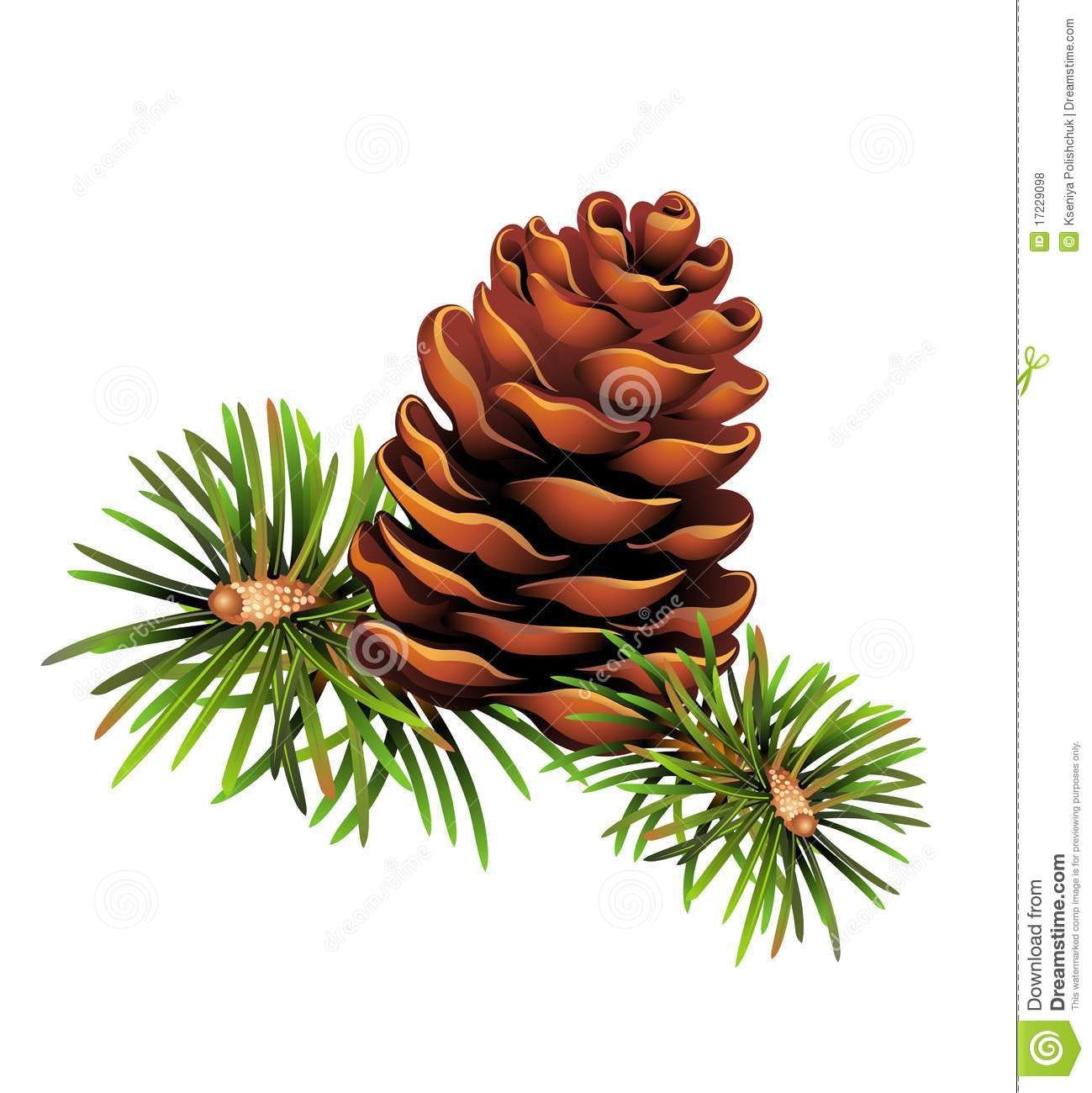 pinecone clipart snowy