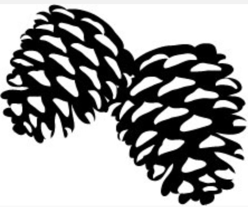 pinecone clipart svg