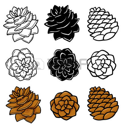pinecone clipart two