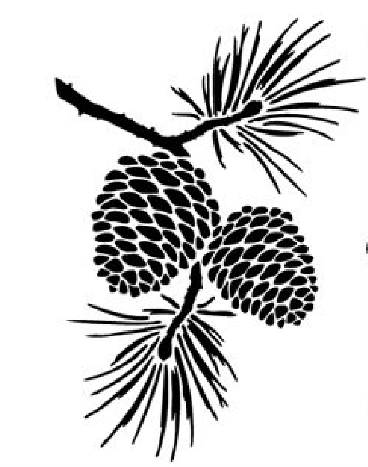 Pine cone graphic design. Pinecone clipart vine