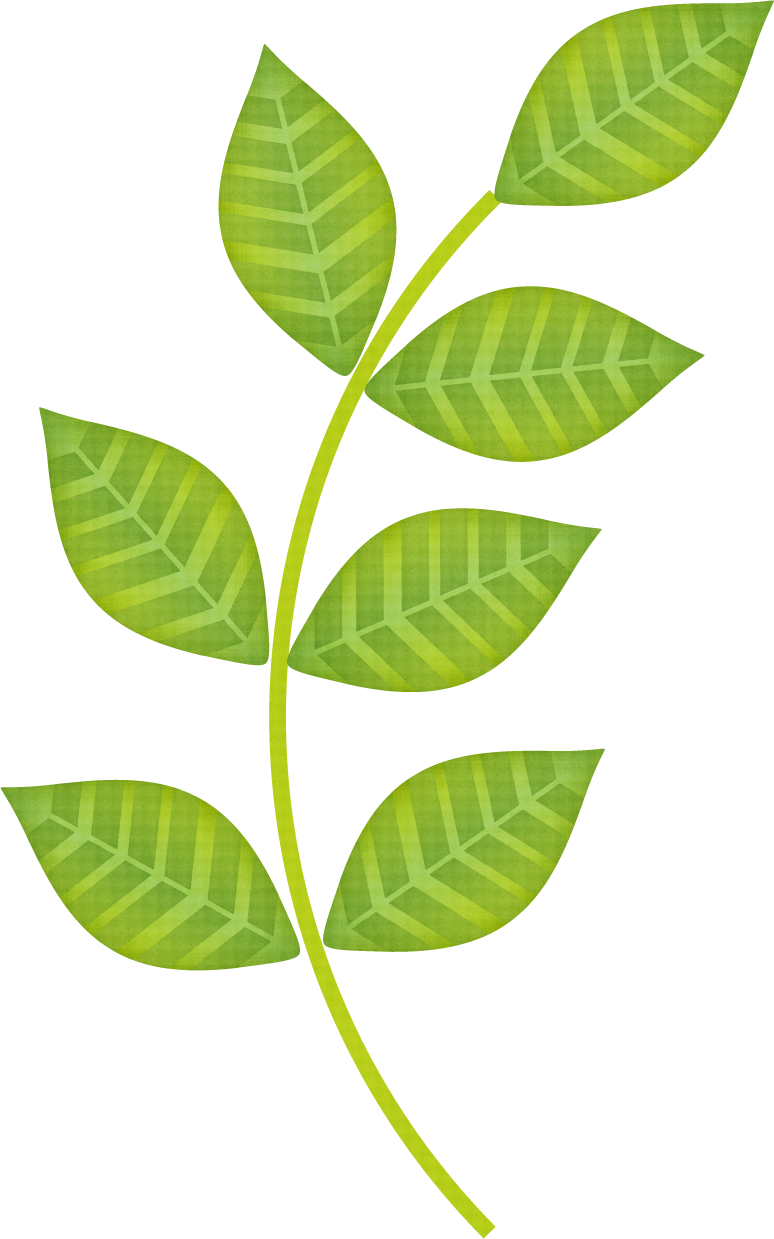 Pinecone clipart vine.  fca orig leaves