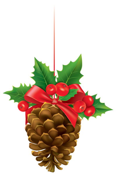 Collection of free download. Pinecone clipart vine