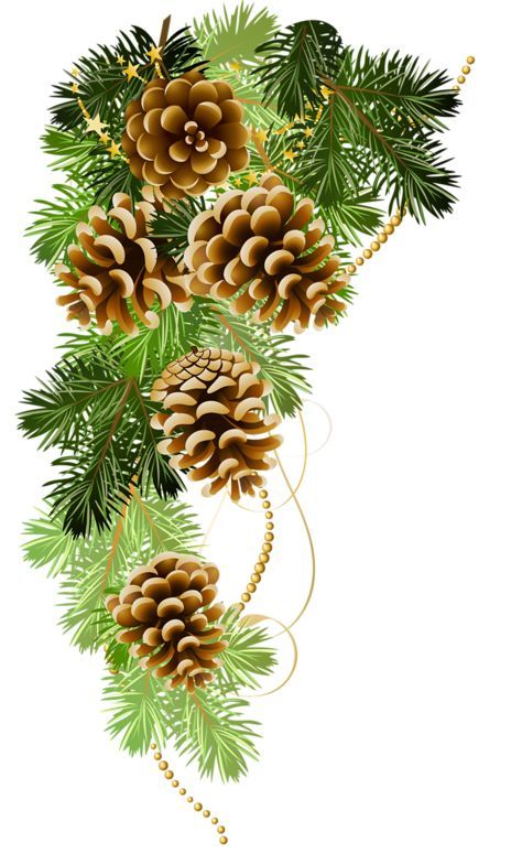Pinecone clipart winter. Image result for paintings